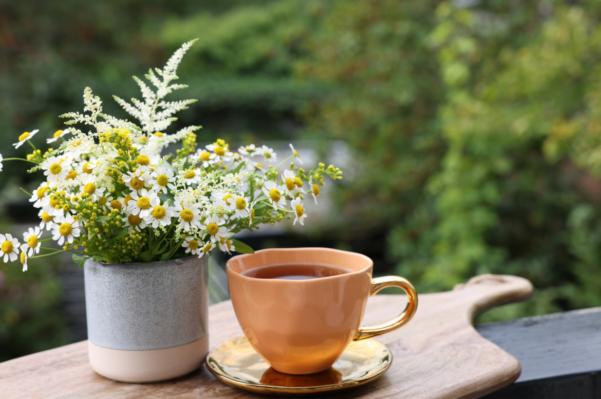 Plantes et émotions : quand les plantes accompagnent votre bien-être | Philosane